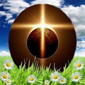 Meet your Posher, Annette